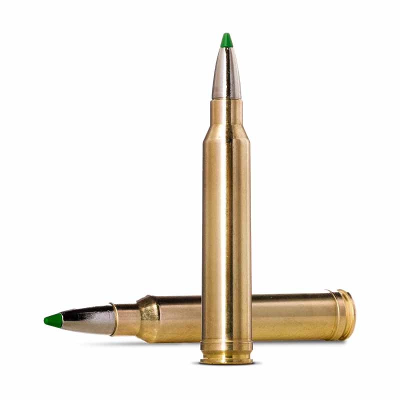 .300WinMag Ecostrike 10,7g - 165gr