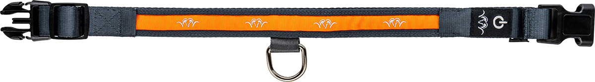 Halsband LED   orange, Nylon